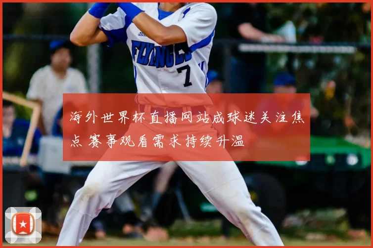 海外世界杯直播网站成球迷关注焦点 赛事观看需求持续升温
