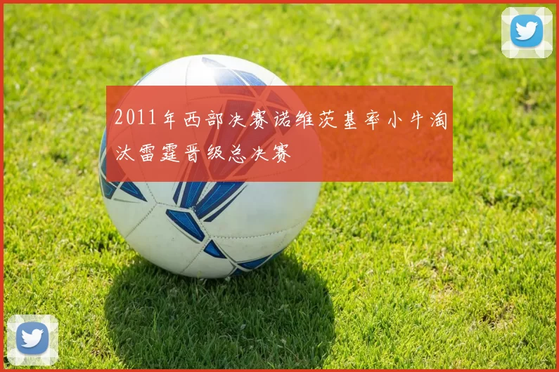 2011年西部决赛诺维茨基率小牛淘汰雷霆晋级总决赛