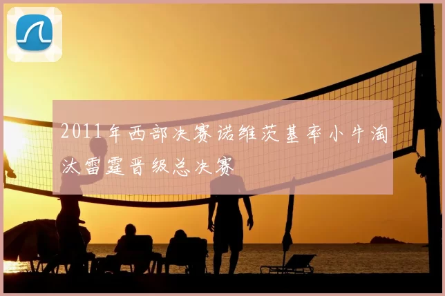 2011年西部决赛诺维茨基率小牛淘汰雷霆晋级总决赛