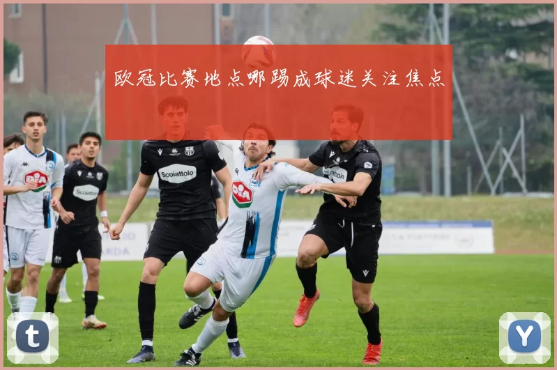 欧冠比赛地点哪踢成球迷关注焦点