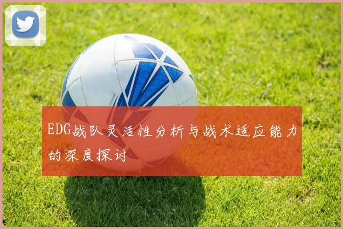 EDG战队灵活性分析与战术适应能力的深度探讨