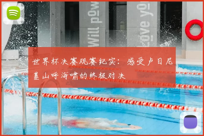 世界杯决赛观赛纪实：感受卢日尼基山呼海啸的终极对决