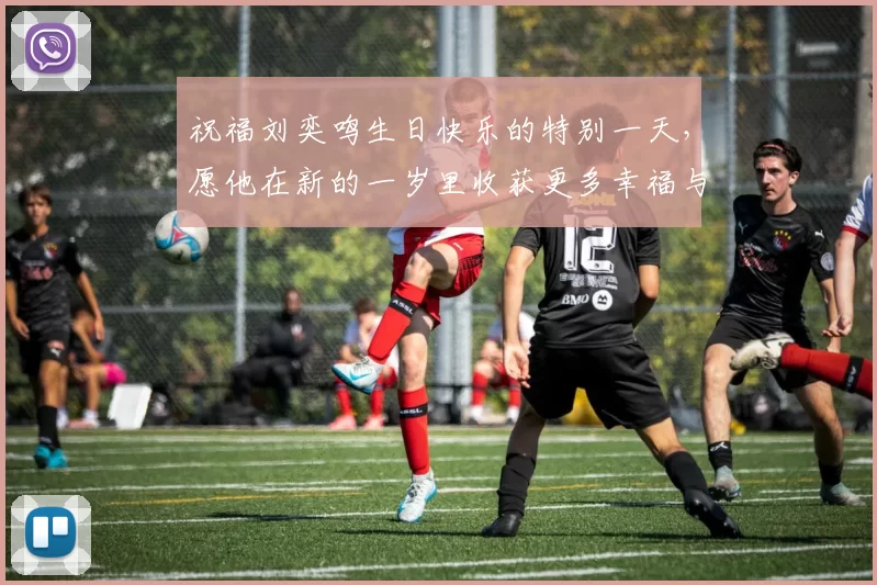 祝福刘奕鸣生日快乐的特别一天，愿他在新的一岁里收获更多幸福与成功