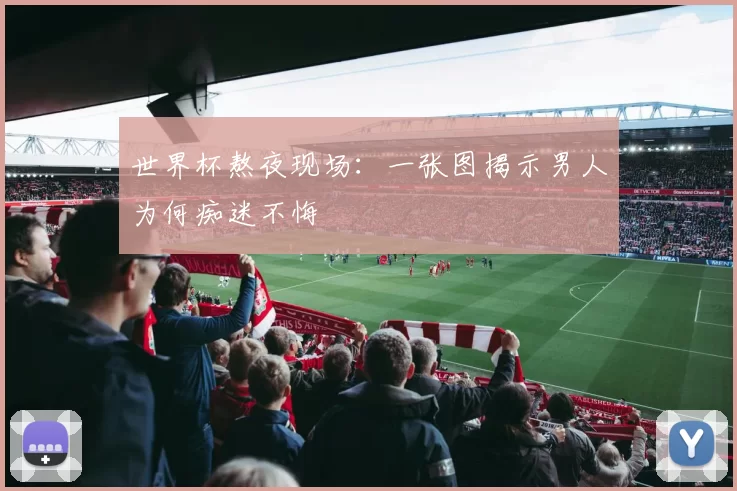 世界杯熬夜现场：一张图揭示男人为何痴迷不悔