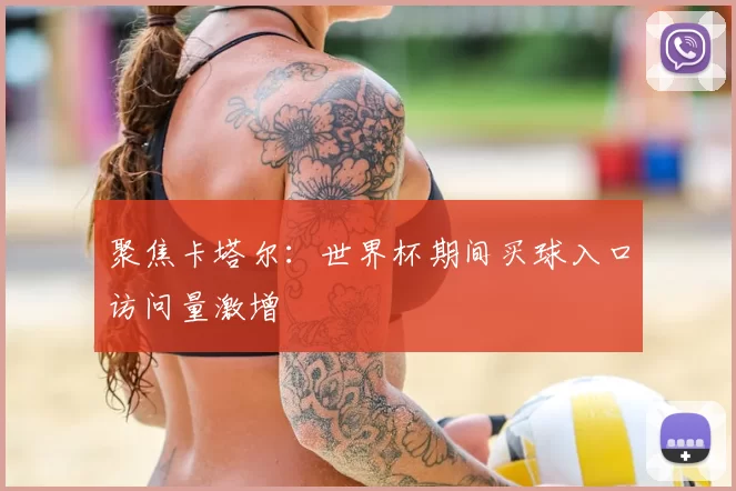 聚焦卡塔尔：世界杯期间买球入口访问量激增