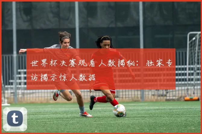 世界杯决赛观看人数揭秘:独家专访揭示惊人数据
